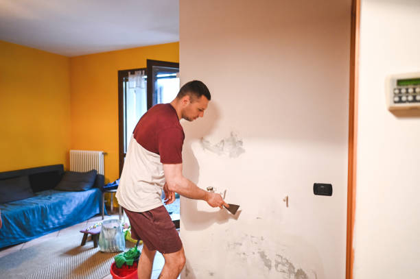 Best Professional Mold Removal  in Plymouth, NC